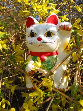 Maneki neko: el gato que te invita