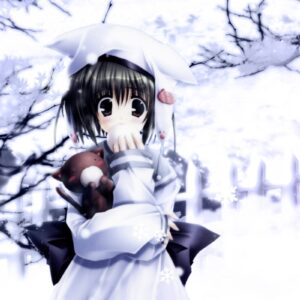 Temporada Anime Invierno 2011 (I): Series de TV – Primera Parte
