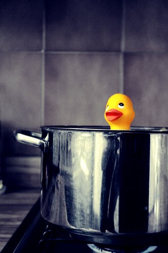 Cuentos de Nasrudin: La Sopa de Pato